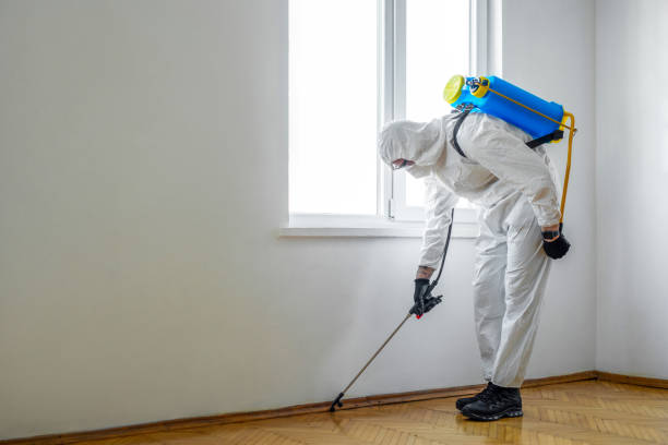 Reliable Becker, MN Pest Control Solutions