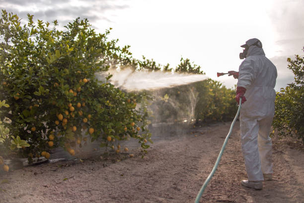 Best Local Pest Control Services  in Becker, MN