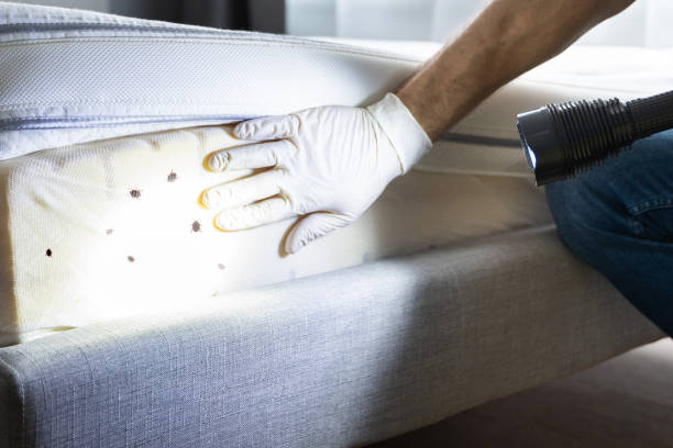 Best Pest Control Near Me  in Becker, MN