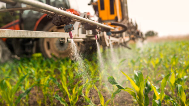 Best Mosquito Control Services  in Becker, MN